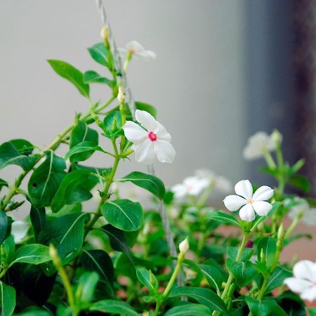 Winna Airport Hostel Da Nang Dış mekan fotoğraf