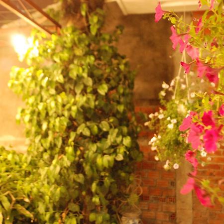 Winna Airport Hostel Da Nang Dış mekan fotoğraf